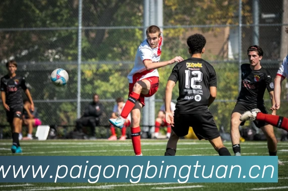 多媒体互动体验